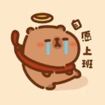 美元的头像-美课云